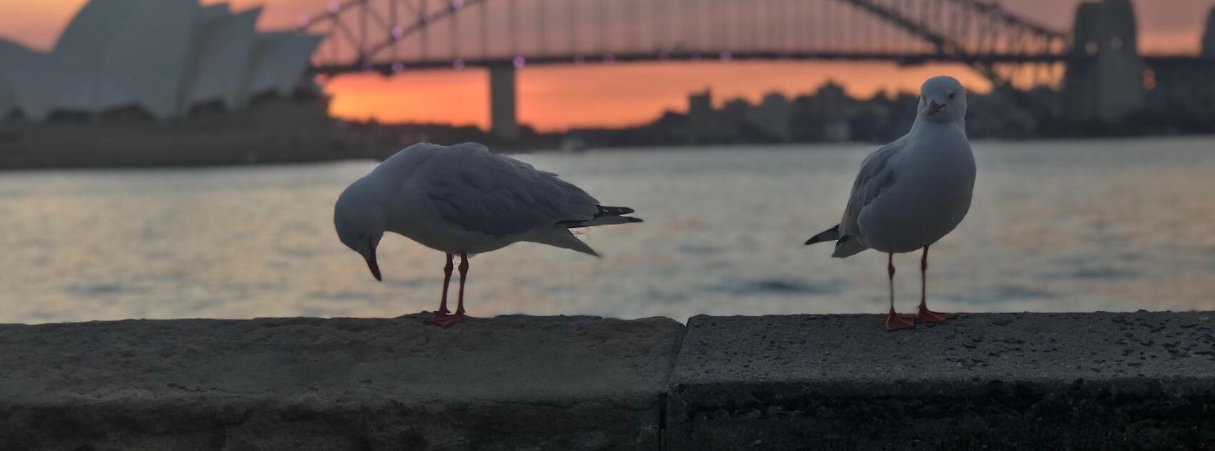 21.-23.05. Sydney total